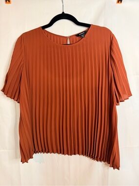 Express Pleated Short Sleeve Blouse in Rust